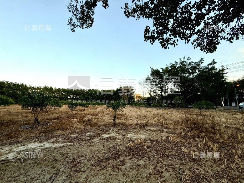 南屯嶺東農地房屋室內格局與周邊環境