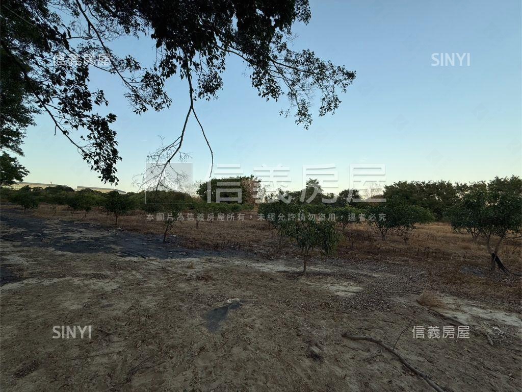 南屯嶺東農地房屋室內格局與周邊環境