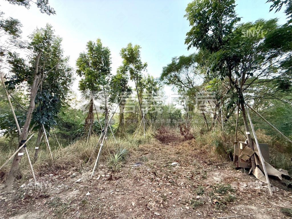 南屯嶺東農地房屋室內格局與周邊環境