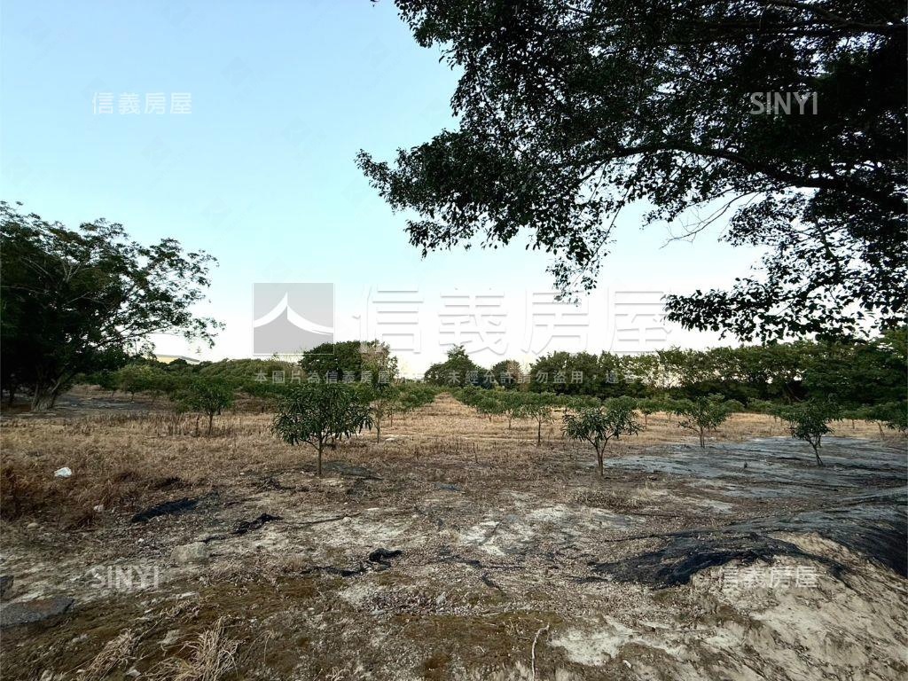 南屯嶺東農地房屋室內格局與周邊環境