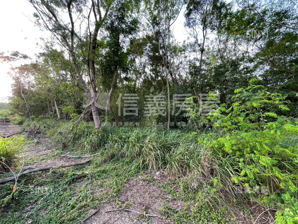 榮總醫院旁大空間土地房屋室內格局與周邊環境