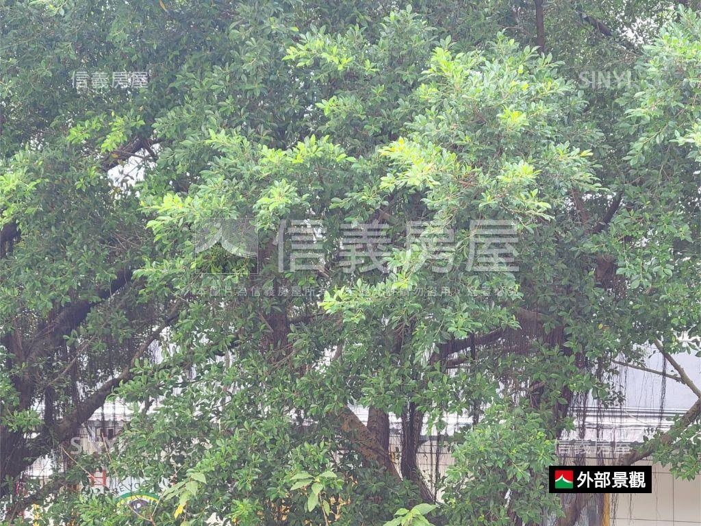 聯合二村林蔭樹海房屋室內格局與周邊環境