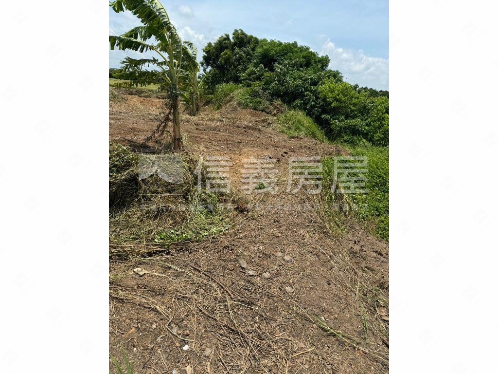 新屋土地房屋室內格局與周邊環境