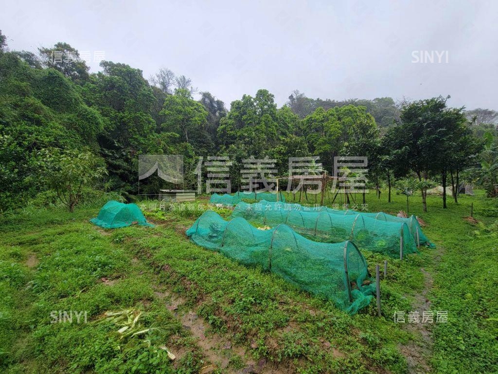 三灣北埔段臨路土地房屋室內格局與周邊環境