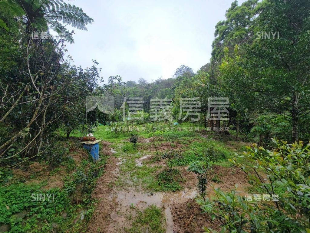 三灣北埔段臨路土地房屋室內格局與周邊環境