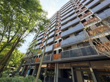 星野低總價成家首選