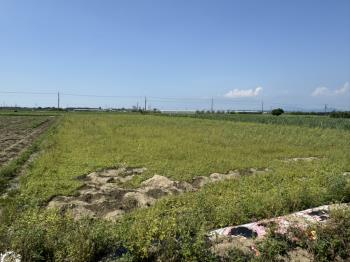 大社雙面臨路約三分農地