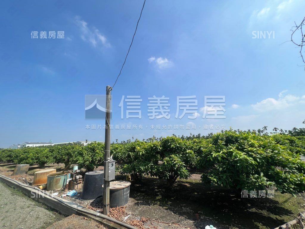 南州優質農地房屋室內格局與周邊環境
