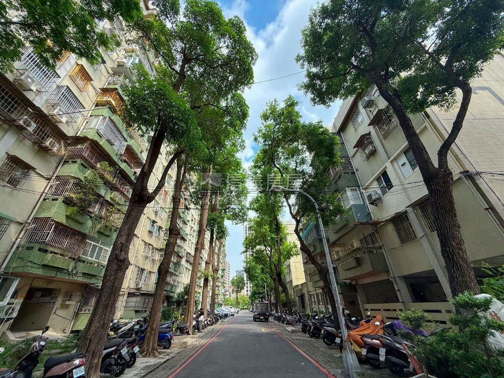 前鋒稀有漂亮樹海三房邊間房屋室內格局與周邊環境