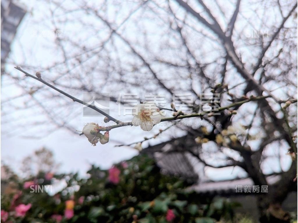 台北灣江南詩意２房房屋室內格局與周邊環境