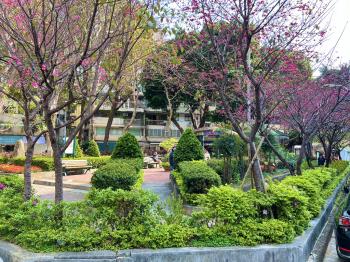 店長強力推薦電梯收租頂加