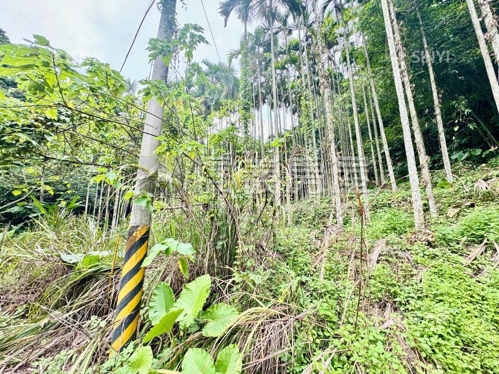 紫微◆清幽四千坪大土地房屋室內格局與周邊環境