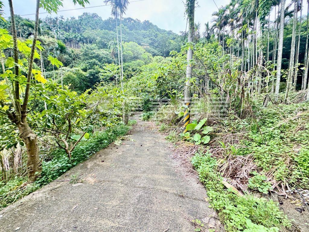 紫微◆清幽四千坪大土地房屋室內格局與周邊環境