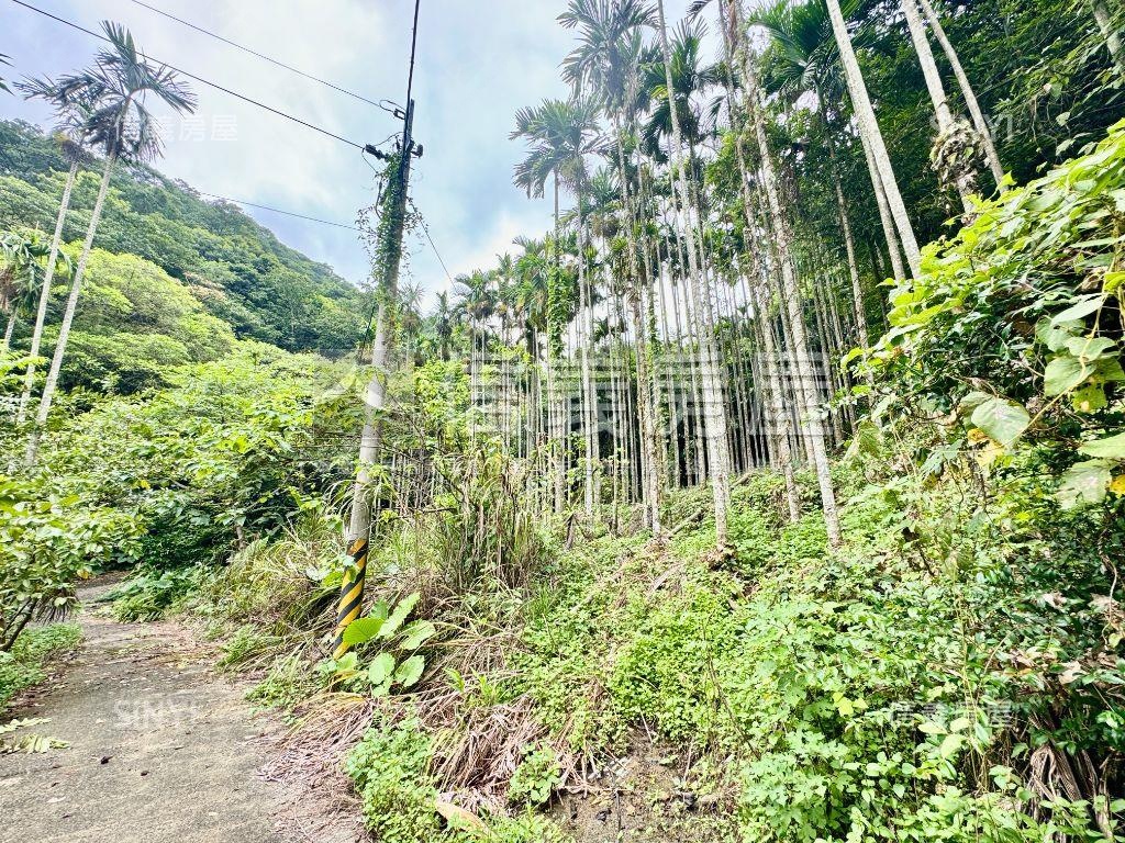 紫微◆清幽四千坪大土地房屋室內格局與周邊環境