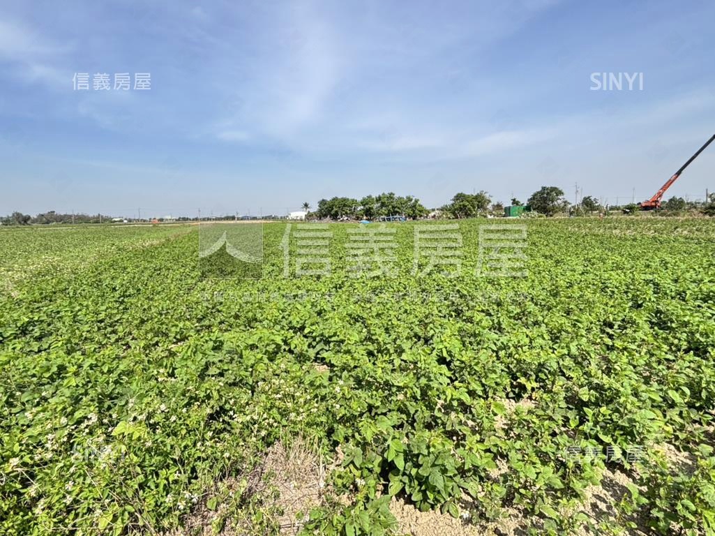 後壁８分休閒農地房屋室內格局與周邊環境