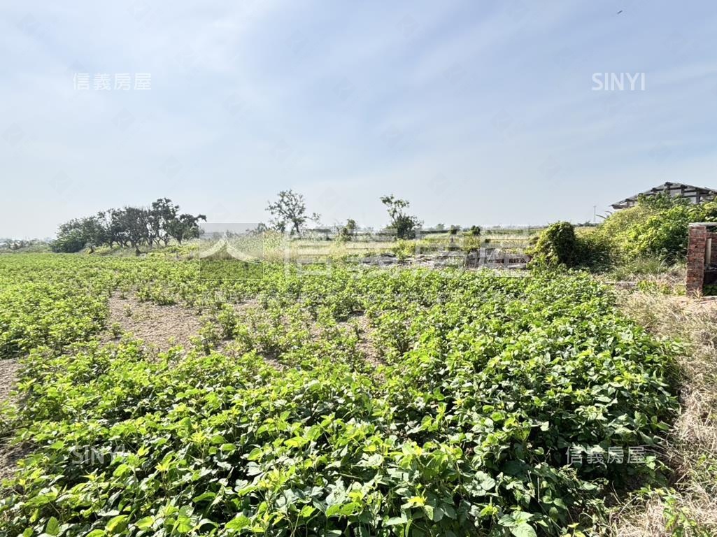 後壁８分休閒農地房屋室內格局與周邊環境