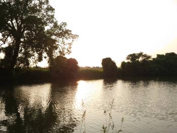 後壁８分休閒農地