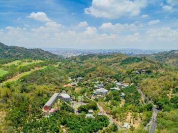 蛇年行大運近逢甲國小農地