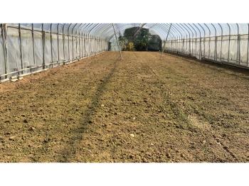 開心小農場～這個適合您