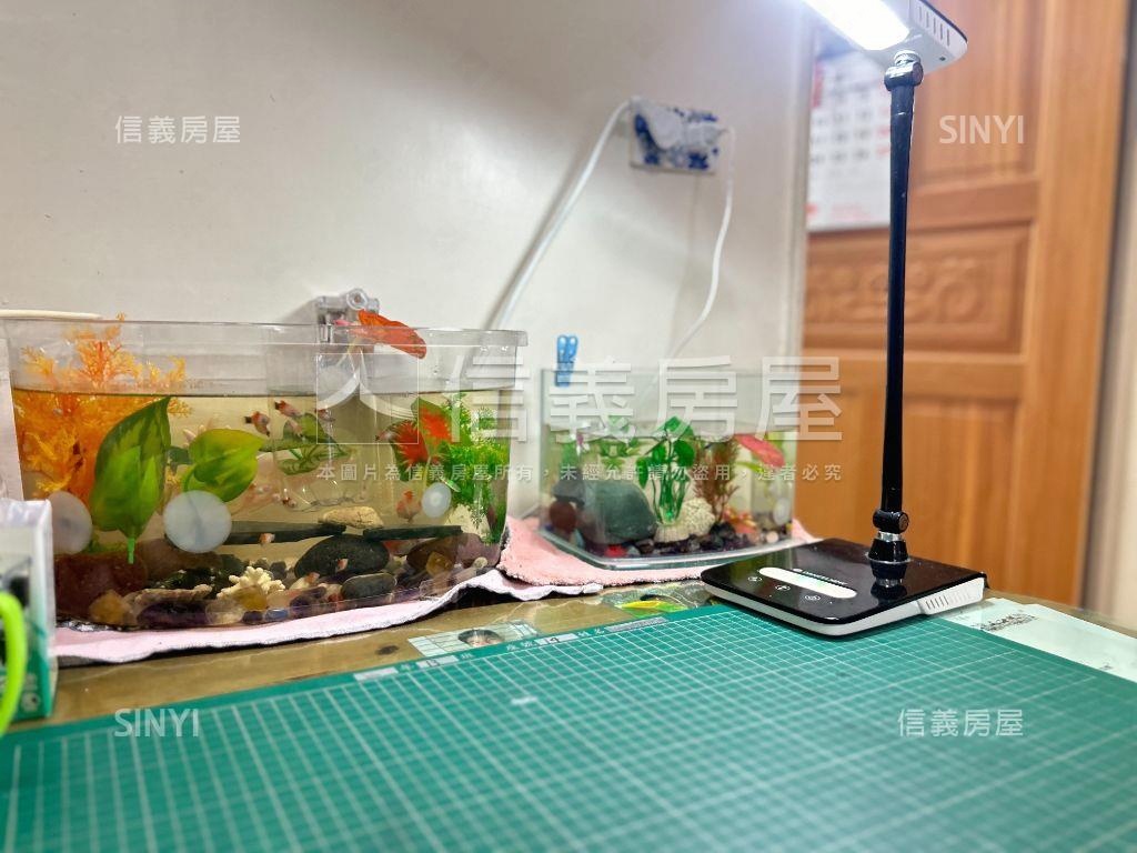 安平三面採光三房平車房屋室內格局與周邊環境