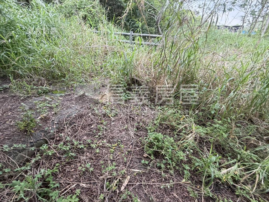 香山延壽完整產權傳世綠地房屋室內格局與周邊環境