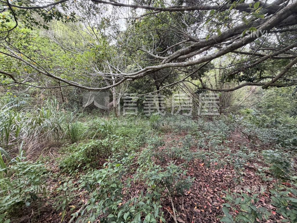香山延壽完整產權傳世綠地房屋室內格局與周邊環境