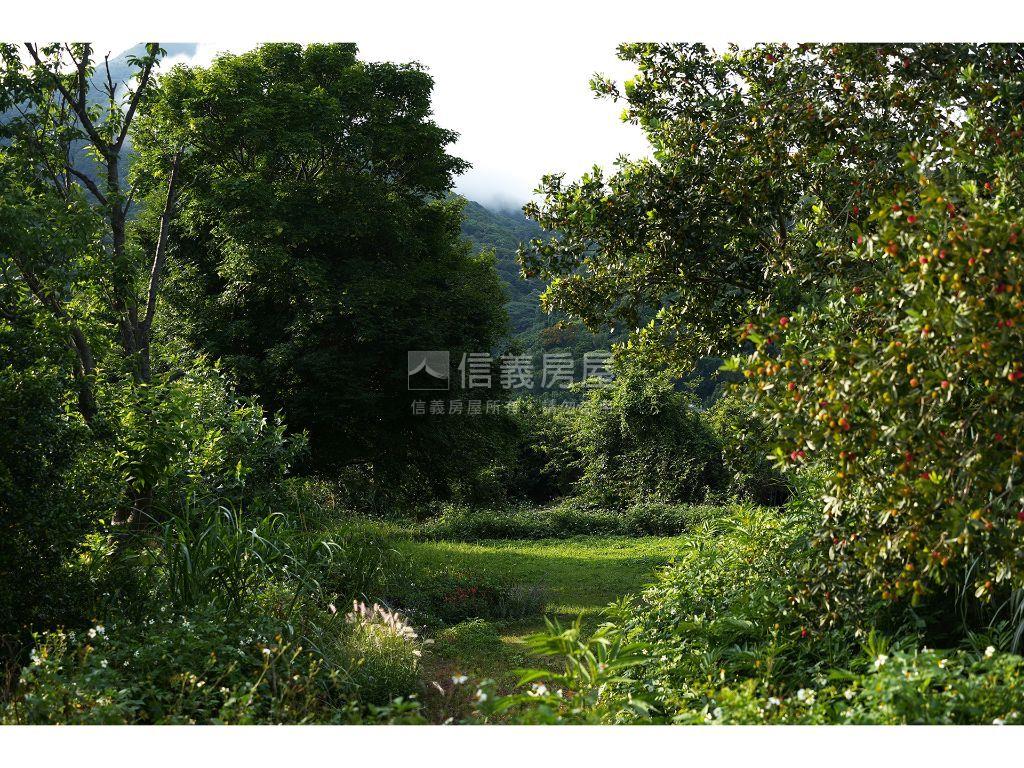 陽明山溫泉寶地房屋室內格局與周邊環境