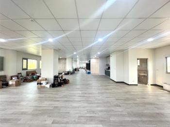 稀有興大震後商辦