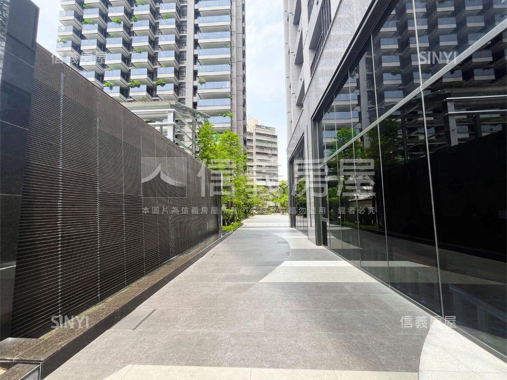 美術白天鵝大兩房雙衛平車房屋室內格局與周邊環境