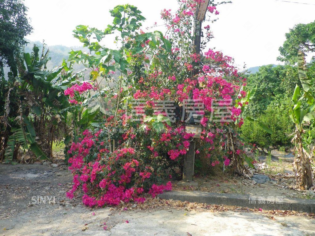 美濃市區福美路農地房屋室內格局與周邊環境