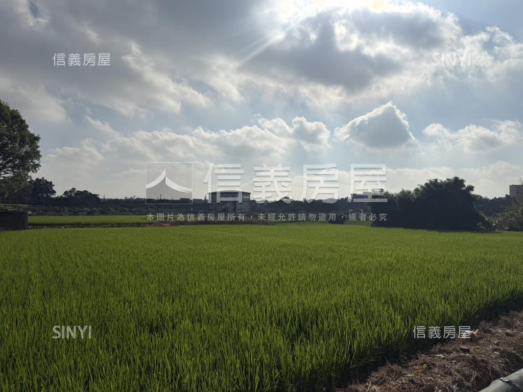 平鎮廣泰路邊間大地坪透天房屋室內格局與周邊環境