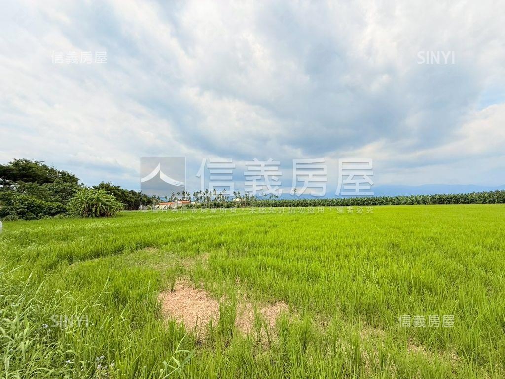 旗山臨路漂亮農地房屋室內格局與周邊環境