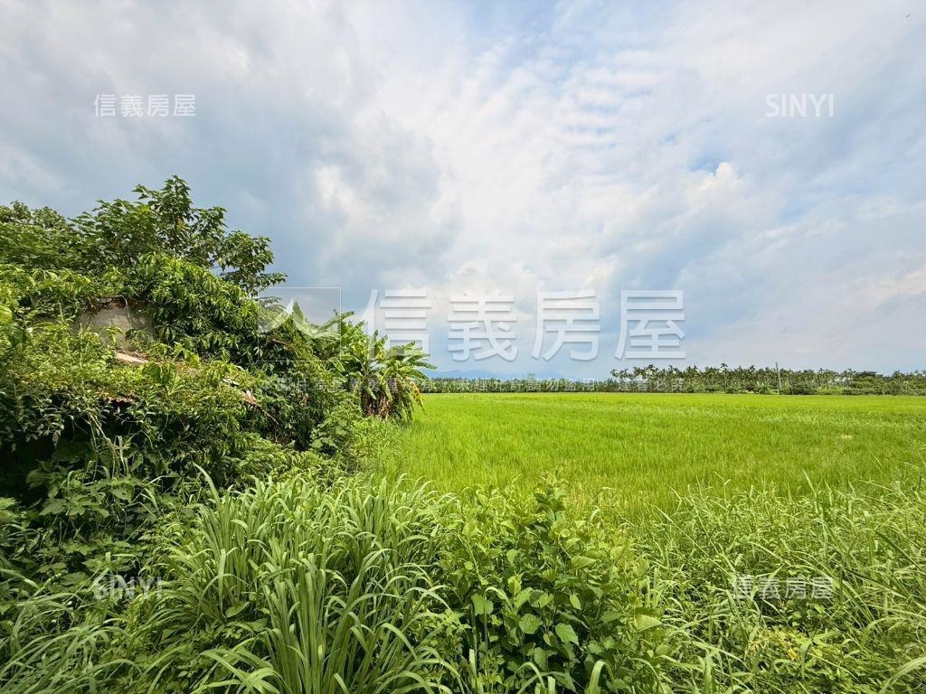 旗山臨路漂亮農地房屋室內格局與周邊環境