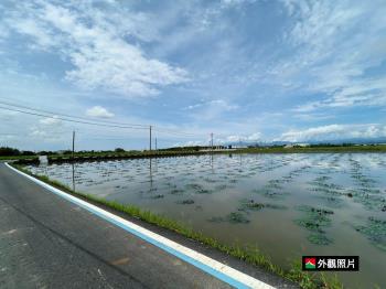 官田都內面寬方正農地