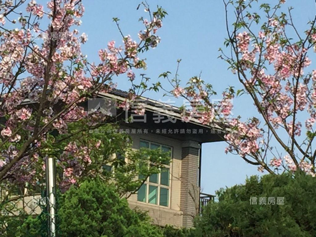 陽明山花園別墅房屋室內格局與周邊環境