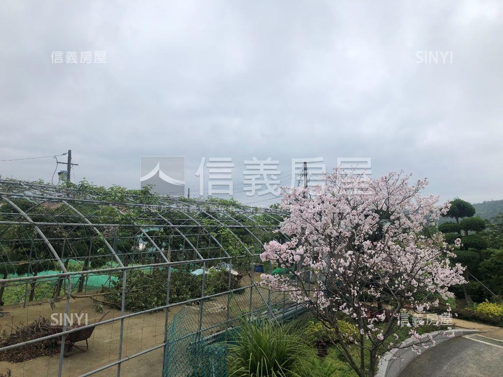 陽明山花園別墅房屋室內格局與周邊環境