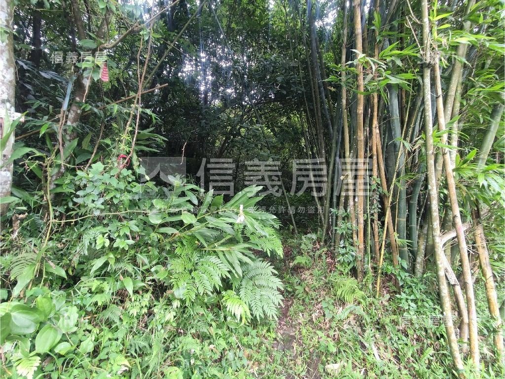 新店清潭段土地1房屋室內格局與周邊環境