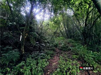 新店清潭段土地1