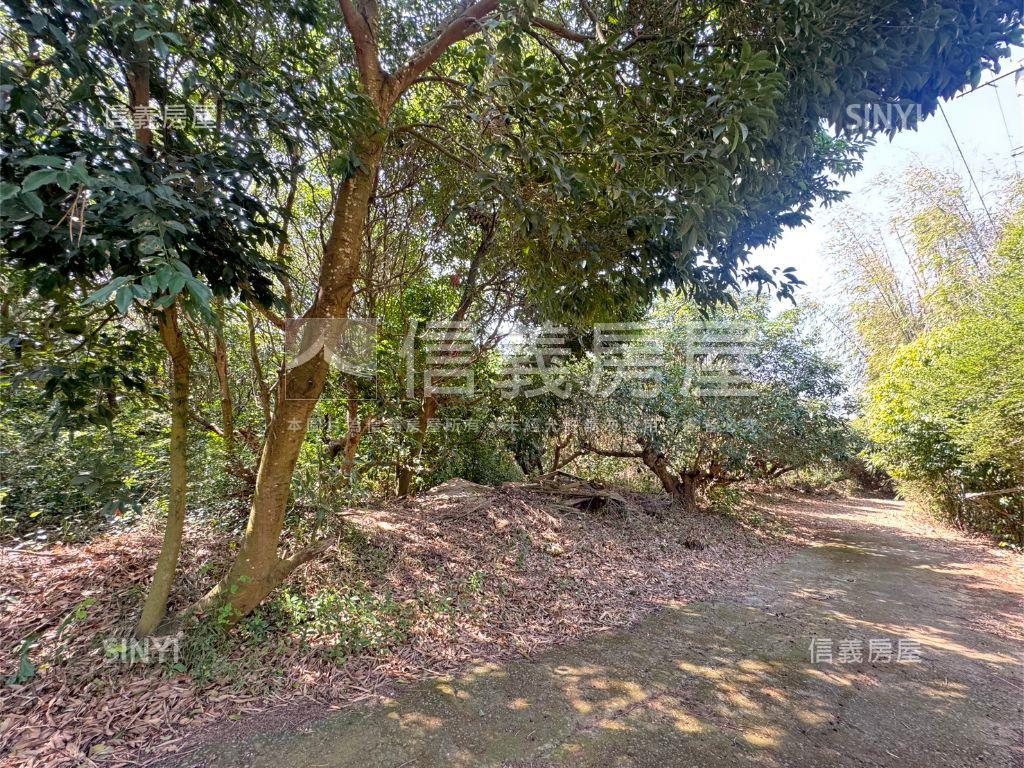 近台中都會公園沙鹿土地房屋室內格局與周邊環境