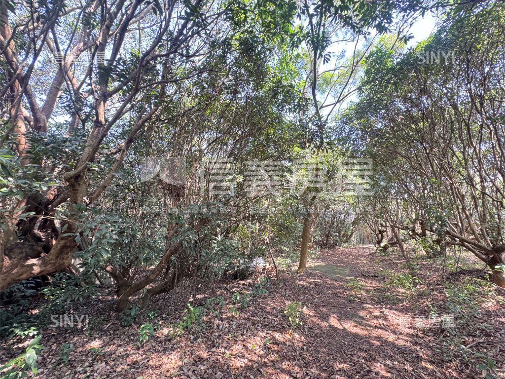 近台中都會公園沙鹿土地房屋室內格局與周邊環境