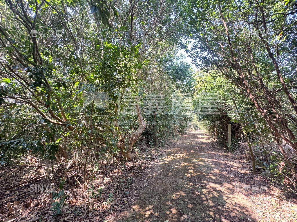 近台中都會公園沙鹿土地房屋室內格局與周邊環境