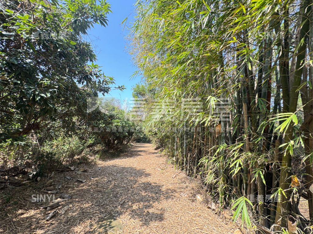 近台中都會公園沙鹿土地房屋室內格局與周邊環境