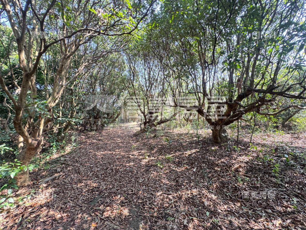 近台中都會公園沙鹿土地房屋室內格局與周邊環境