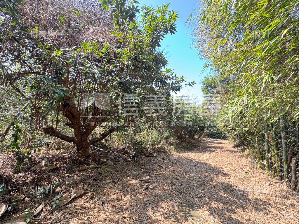 近台中都會公園沙鹿土地房屋室內格局與周邊環境