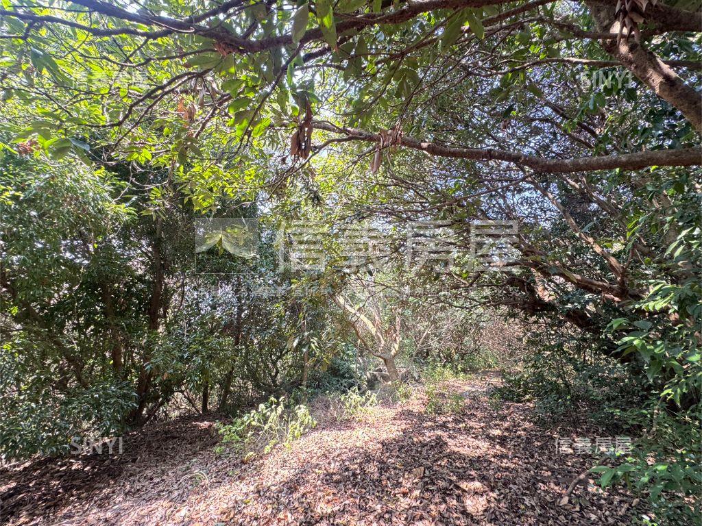 近台中都會公園沙鹿土地房屋室內格局與周邊環境