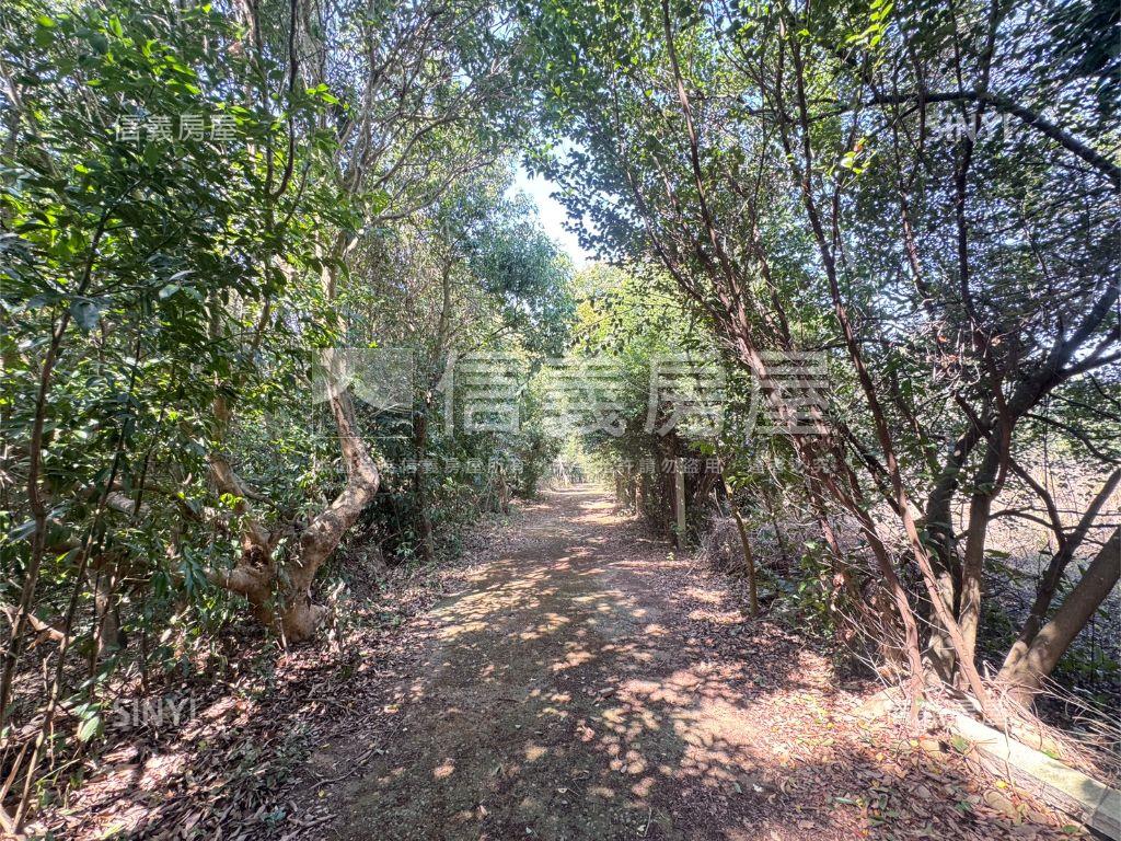 近台中都會公園沙鹿土地房屋室內格局與周邊環境