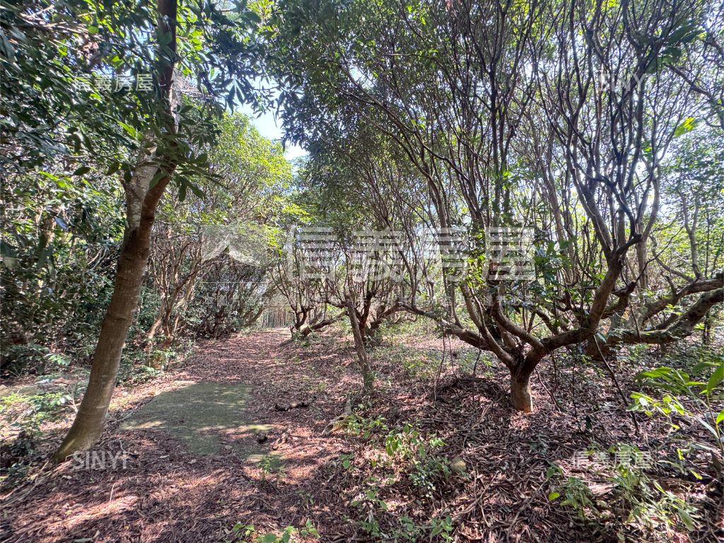 近台中都會公園沙鹿土地房屋室內格局與周邊環境