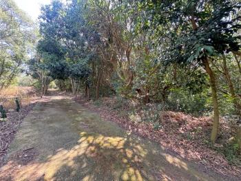 近台中都會公園沙鹿土地