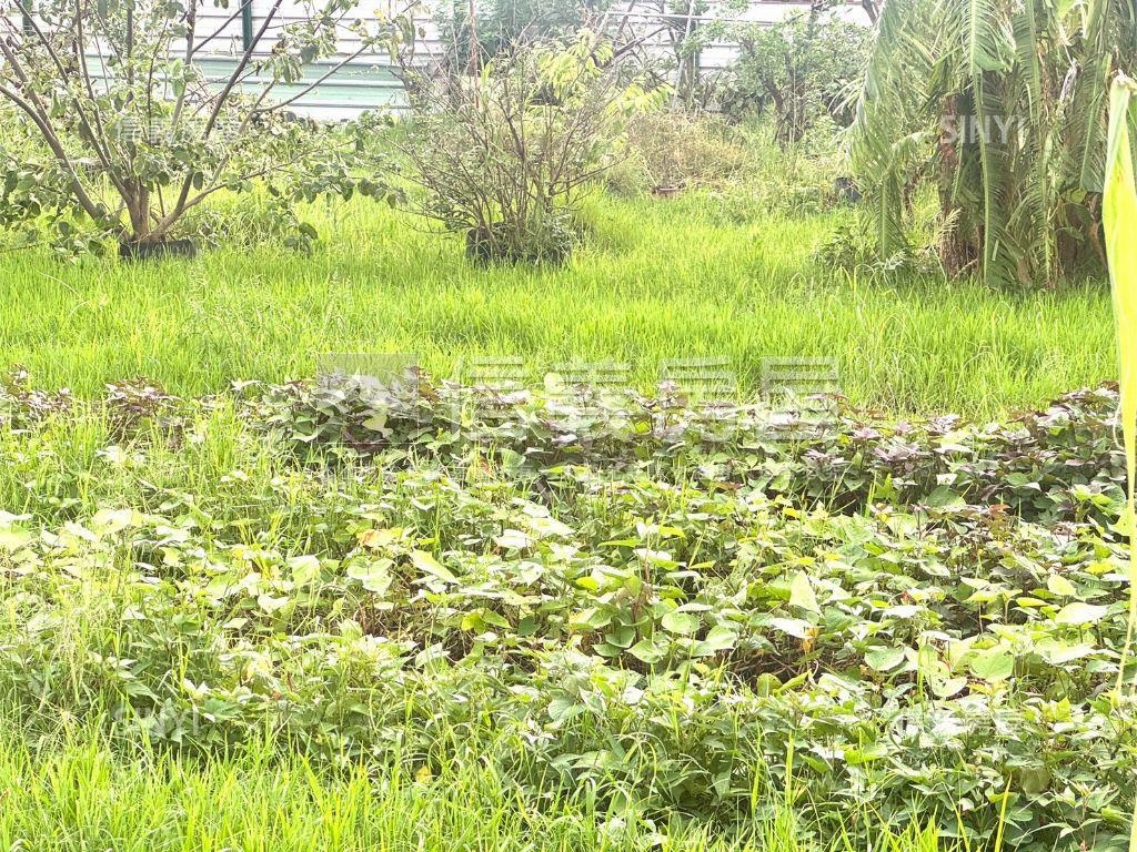 近海佃路約３６３坪農地房屋室內格局與周邊環境