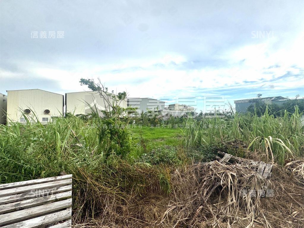 近海佃路約３６３坪農地房屋室內格局與周邊環境